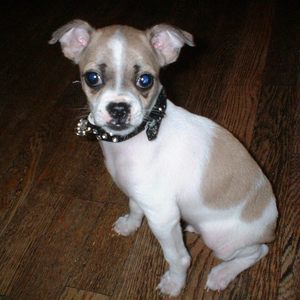 Meet your Posher, Mary